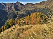 22 In decisa-ripida salita per la cima del Monte Arete (2227 m) tra larici colorati d'autunno 